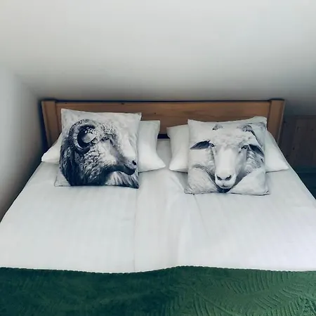 Na Swierkowym Strychu Appartement