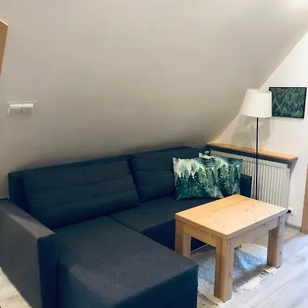 Na Swierkowym Strychu Daire Szczawnica