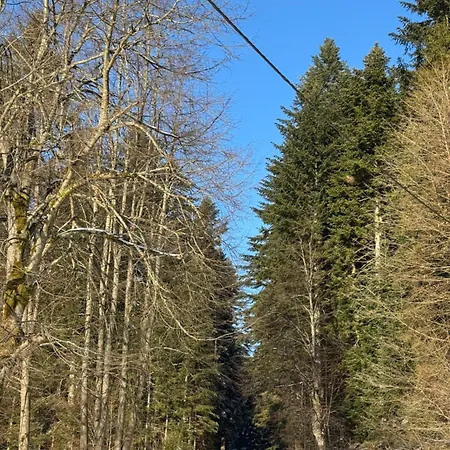 Appartement Na Swierkowym Strychu