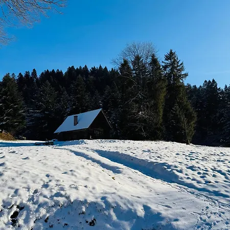 Na Swierkowym Strychu Appartement Szczawnica