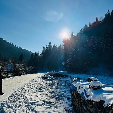 Appartement Na Swierkowym Strychu Szczawnica