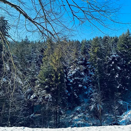 Na Swierkowym Strychu