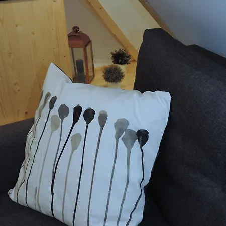 Daire Na Swierkowym Strychu Szczawnica