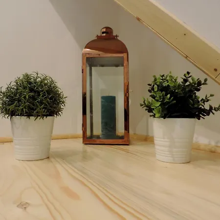 Na Swierkowym Strychu Appartement *