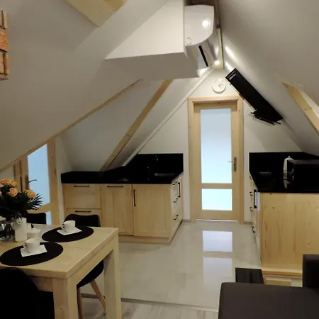 Na Swierkowym Strychu Appartement