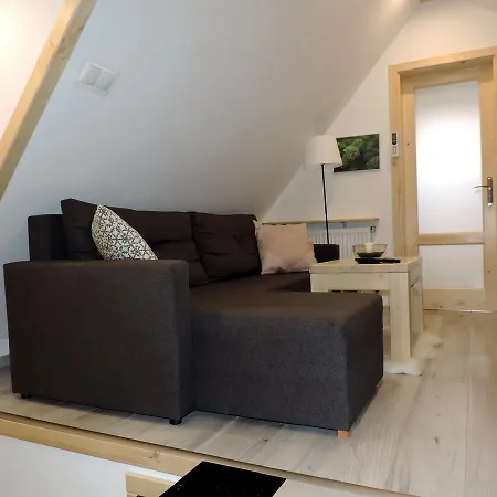 Na Swierkowym Strychu Appartement *