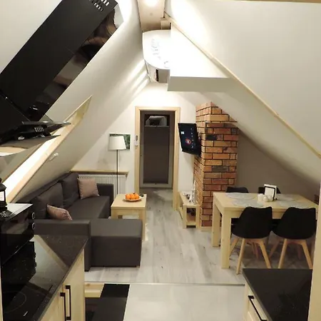 Na Swierkowym Strychu Appartement