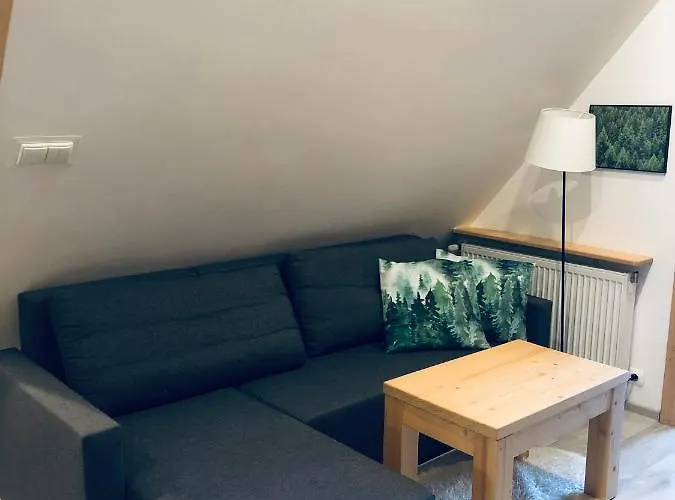 Na Swierkowym Strychu 公寓 什恰夫尼察